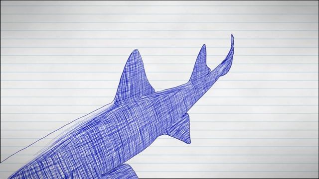 Sawshark sketch - Blender 3D смотреть онлайн