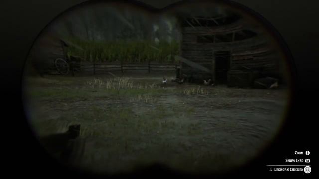 Red Dead Redemption 2 - RDR2 - JAVA ROOSTER - LOCATION - ZOOLOGIST 24 смотреть онлайн
