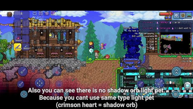 Terraria new all light pets and pets character download ( working all device's, no virus) смотреть онлайн