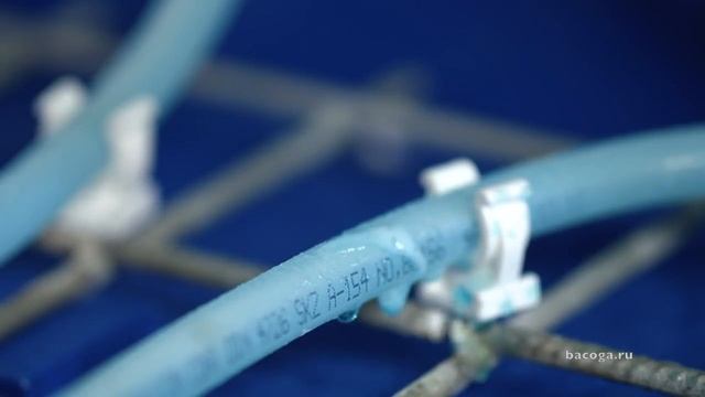 Линейка продуктов BCG. смотреть онлайн