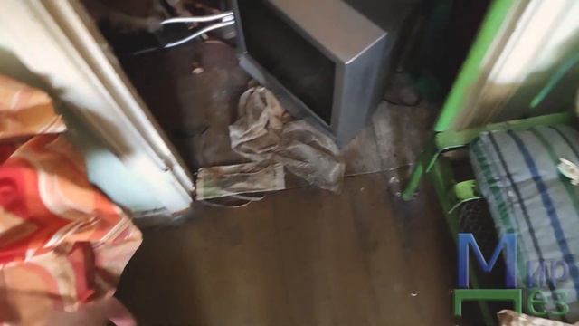 МирДез, Обработка от бельевых вшей (2020г) 22 смотреть онлайн