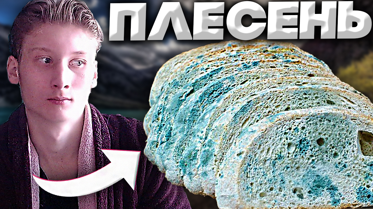 ХЛЕБ ПОКРЫВАЕТСЯ ПЛЕСЕНЬЮ | ЧТО ДЕЛАТЬ? | КАК НЕ ДОПУСТИТЬ ДО ПЛЕСЕНИ БУЛОЧКИ,ХЛЕБОБУЛОЧНЫЕ ИЗДЕЛИЯ? смотреть онлайн