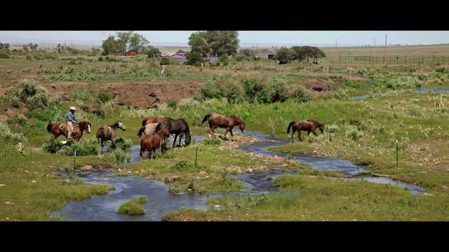 Волшебная страна