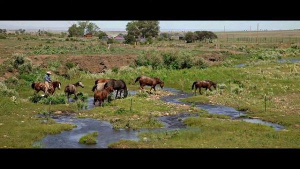 Волшебная страна