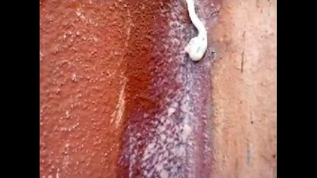 Наполнение шва пеной смотреть онлайн