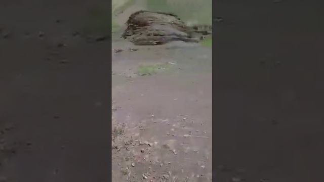 Экскурсия по красивейшим и историческим местам в южном Дагестане, село Иче Рутульского района смотреть онлайн