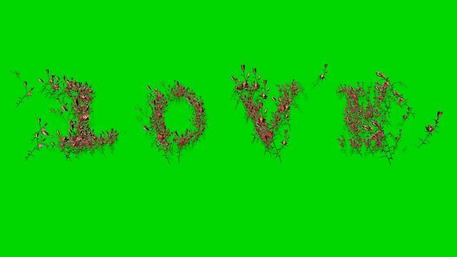 Фон для видеомонтажа Любовь HD Video Background Love смотреть онлайн