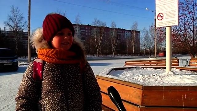 Не кормите голубей! Кому мешают сытые сизокрылые в Шарыпово смотреть онлайн