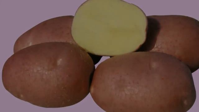 Картофель Сорт Описание смотреть онлайн