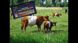 808 Cowbell