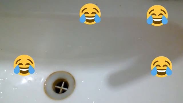 Купание хомячков !!!!!как правильно ? смотреть онлайн