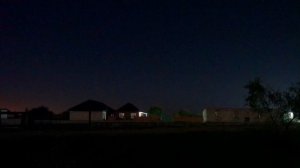 Ночной лес. В селе родном Звуки ночного леса - Совы. Голоса птиц