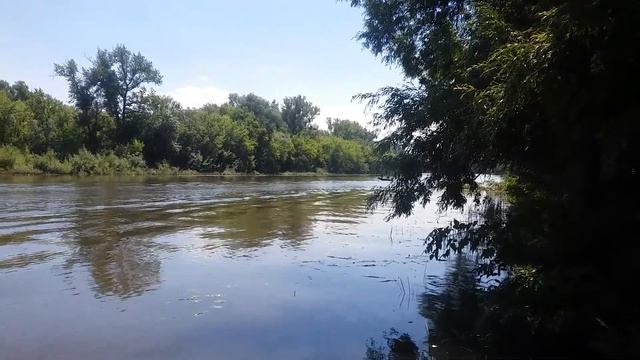 Тохатсу 5 4 такта в одного