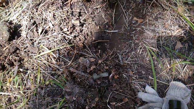 Коп 2020. Поиск монет по лугам и оврагам часть 2 в HD. ACE250(MD6250)