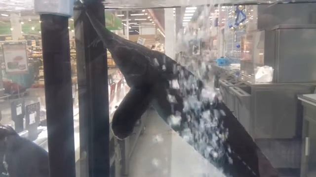 Живая рыба в магазине. Карпы и осётры. смотреть онлайн