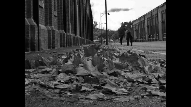 WA Images Through My Lens Olympus E510 DSLR