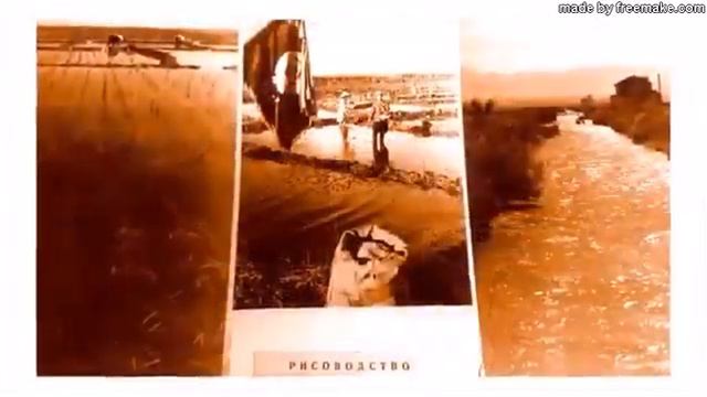 Герман Ким. ВЭКС. Колхоз СЕВЕРНЫЙ МАЯК. Ташкентская область. смотреть онлайн