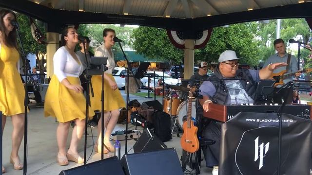 Sunny and the Black Pack смотреть онлайн