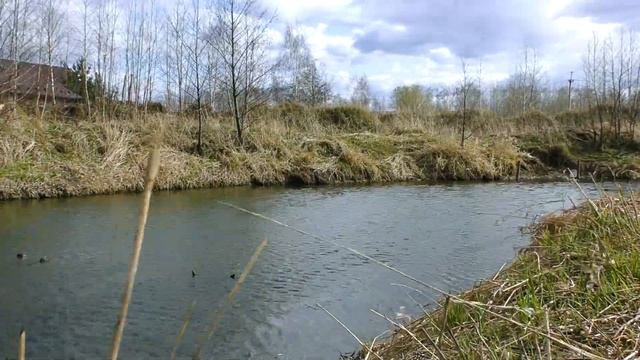 На велах за уклейкой!!!Ищем уклейку,ловим уклейку,жарим уклейку!!! смотреть онлайн