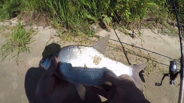 Рыбалка на Оке. Продолжаем открывать новые места.