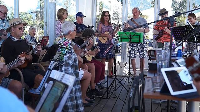 Park Bench Ukulele Players sing a bracket of oldies смотреть онлайн