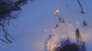 snowmobiling yamaha phazer mtx