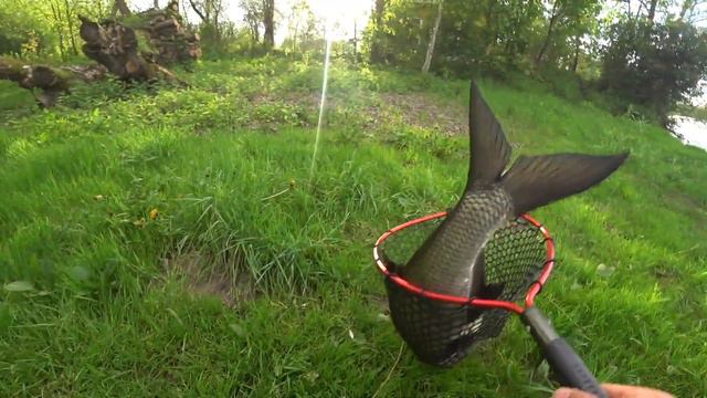 Жерех 2830 река Березина смотреть онлайн