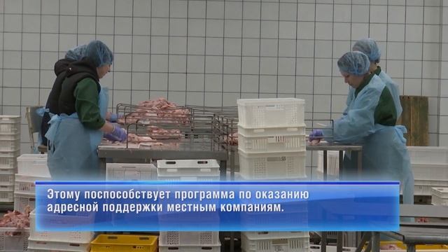 Станция метро "Каменные палатки" смотреть онлайн