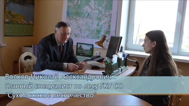 Полицией Асбеста были пойманы "чёрные лесорубы" в районе коллективного сада «Изумрудный». смотреть онлайн