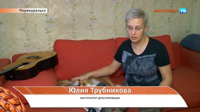 В морозы и собаку нужно одевать смотреть онлайн