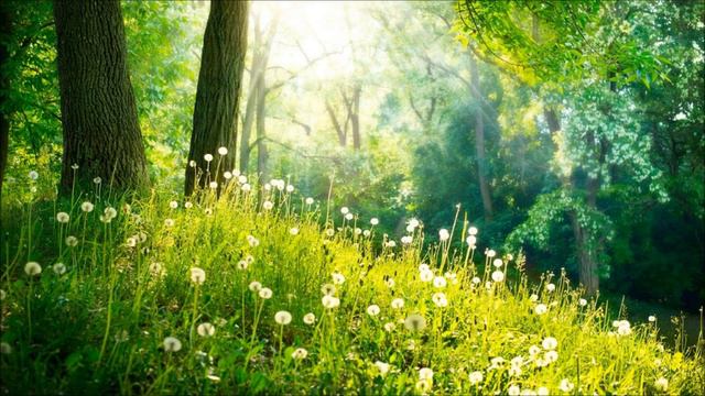 Tony Fadell Speech, Spring 2017 смотреть онлайн