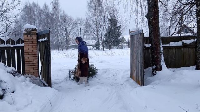 Русская деревня зимой #морозко #villagecooking Russian vlog смотреть онлайн