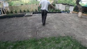 Подготовка земли и посадка газонной травы своими руками