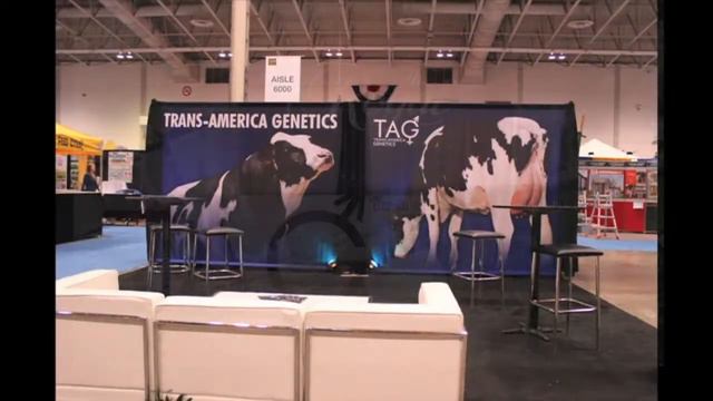 TAG at the Royal 2013 смотреть онлайн