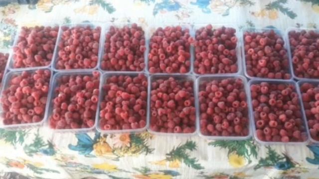Мой малиновый бизнес смотреть онлайн