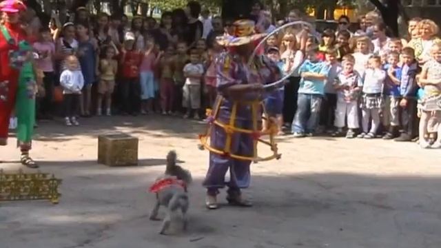 Детская площадка смотреть онлайн