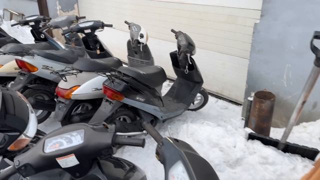 Сколько стоят скутеры! В 2024 году! контейнер из Японии! Обзор цен! смотреть онлайн