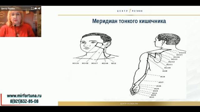 Лузгинова С.В. 01.03.2019 "КФС 18 и энергетический уровень органов" смотреть онлайн