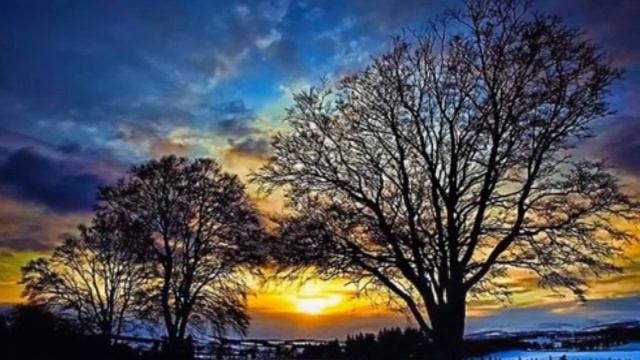Muzyk - A Trance Beat Away смотреть онлайн