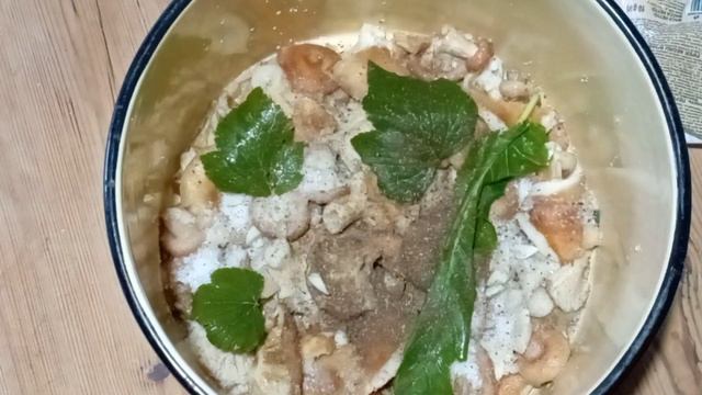 Грибные компетенции