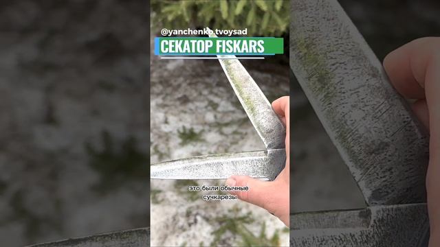 Секатор Fiskars #shorts смотреть онлайн