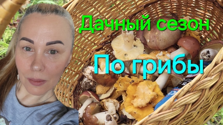 ВЛОГ:Дачный сезон 2024. Видеодневник. Сбор грибов. смотреть онлайн