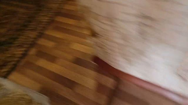 Мой СОСИС лежит на кровати смотреть онлайн