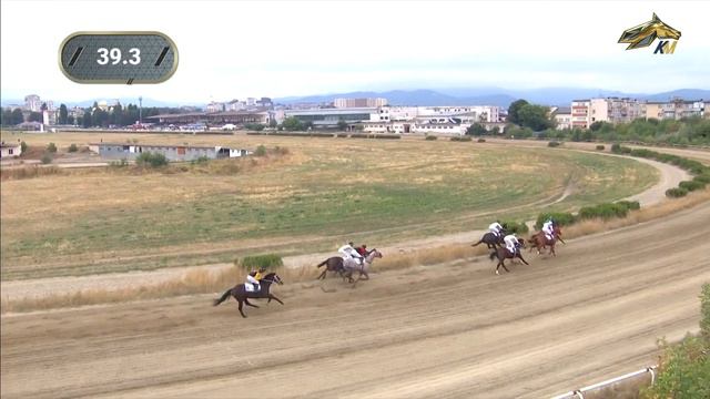 1-я Скачка. Приз в честь коннозаводчиков КБР. Нальчикский ипподром 11 сентября 2022 смотреть онлайн