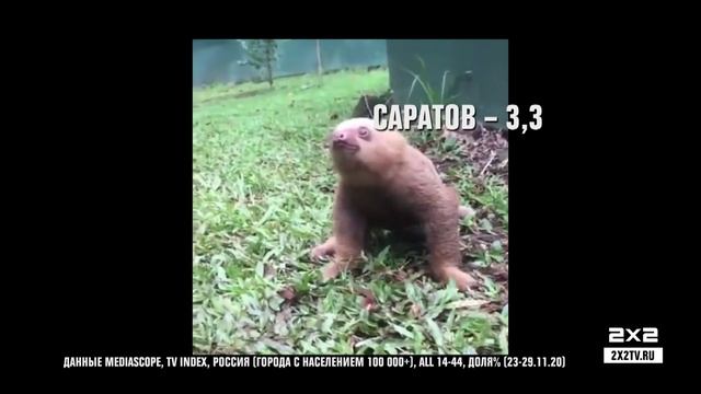 РЕЙТИНГИ 2Х2 — просто ленивец с цифрами смотреть онлайн