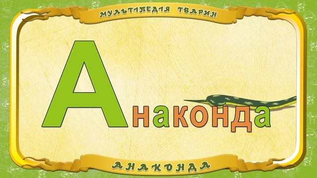 Мультiпедiя тварин вiд - Літера А - Анаконда смотреть онлайн