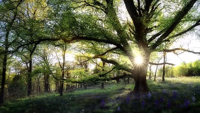 21 июля - Казанская. Священный день - не вздумайте делать это в доме. смотреть онлайн