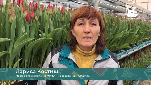 «Спасибо, Учитель!» - Лариса Костиш, Иркутск смотреть онлайн