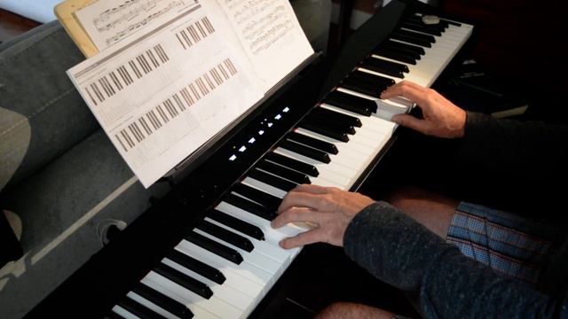 Equal Temperament Vs Kirnberger 3 Temperament, Bach Goldberg Aria, Casio Px S1000, David Ball, Pian