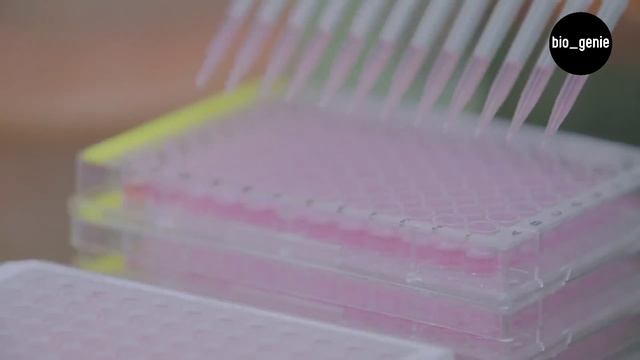☣️A documentary on the biological threat in Central Asia, especially in Kazakhstan?? смотреть онлайн